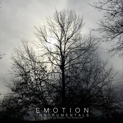 Armada the Producer Emotion Instrumentals, Vol. 1