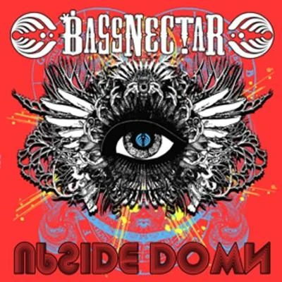 Bassnectar Upside Down