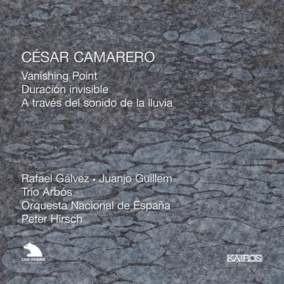 Peter Hirsch CAMARERO, C.: Vanishing PointDuracion invisibleA traves del sonido de la lluvia (Spanish National Orchestra, Hirsch)