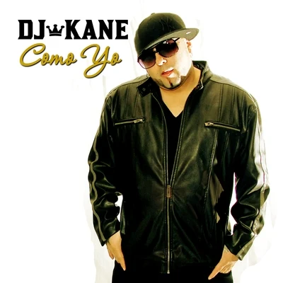 DJ Kane Como Yo - Single