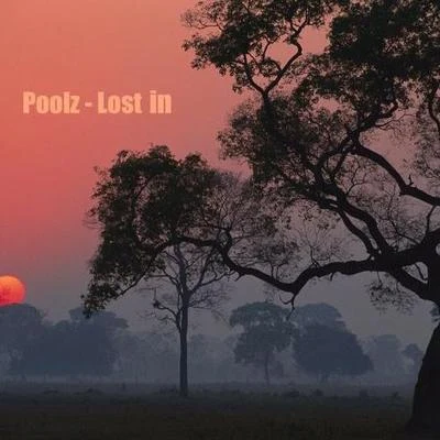 Poolz Lost in