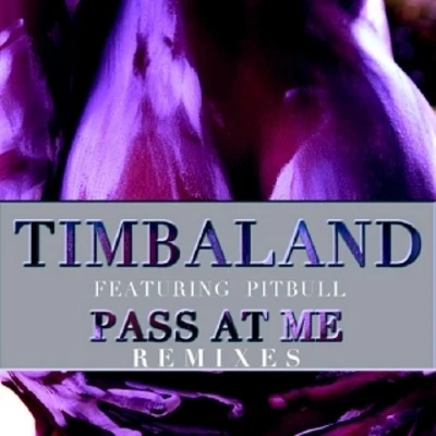 Timbaland Pass at Me Remixes