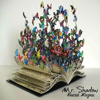 Mr. Shadow Книга Жизни