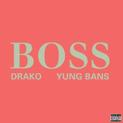 DRAKO Boss