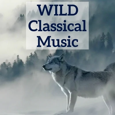 Franz Schubert/Edvard Grieg/Samuel Barber/Richard Wagner/Frederic Chopin/Johann Sebastian Bach Wild Classical Music