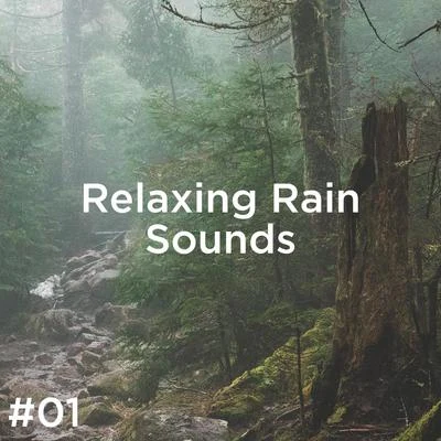 Rain Sounds/Rain for Deep Sleep #01 Relaxing Rain Sounds