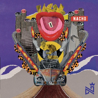 NaCho UNO