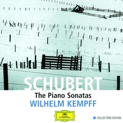 Franz Schubert/Wilhelm Kempff Schubert - The Complete Piano Sonatas