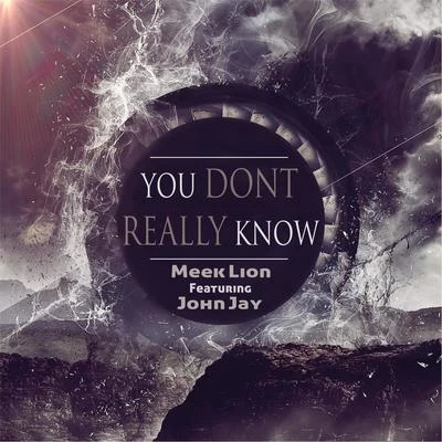 Meek Lion/John Jay You Don't Really Know (feat. John Jay)