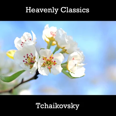 Tchaikovsky Heavenly Classics Tchaikovsky