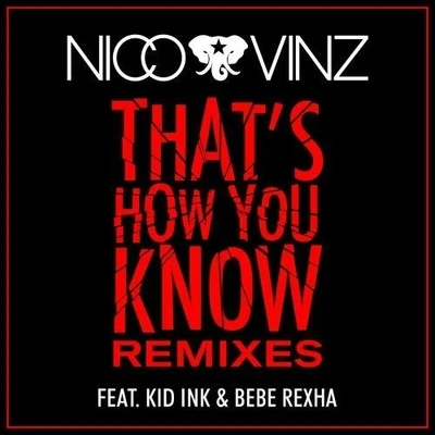 Nico & Vinz Thats How You Know (Remixes)