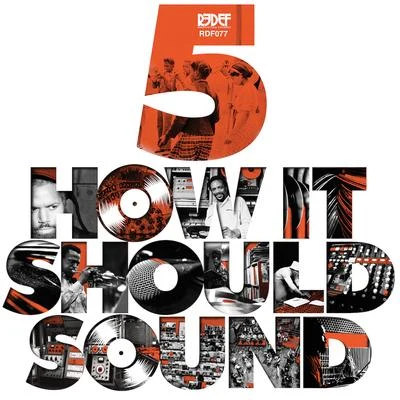 Damu the Fudgemunk How It Should Sound, Vol. 5