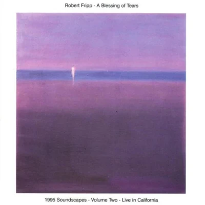 Robert Fripp A Blessing of Tears: 1995 Soundscapes, Vol. 2 [live]