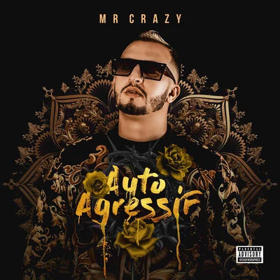 Mr. Crazy Auto Agressif