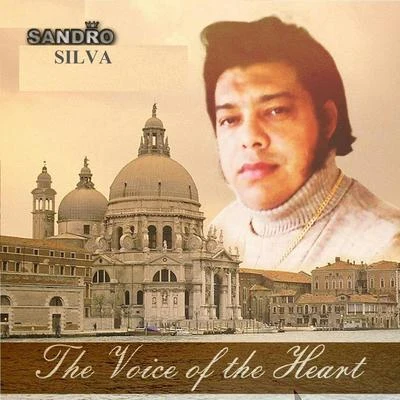 Sandro Silva The VoiceOf The Heant