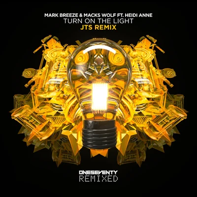 JTS/Mark Breeze/Macks Wolf Turn On The Light (JTS Remix)