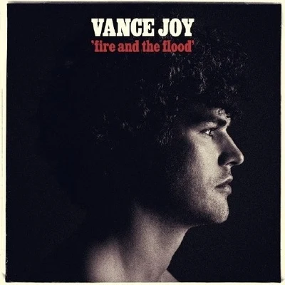 Vance Joy Fire and the Flood