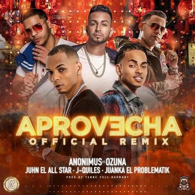 Anonimus Aprovecha (Remix)