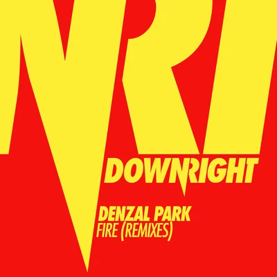 Denzal Park Fire (Remixes)