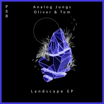 Analog Jungs Landscape EP