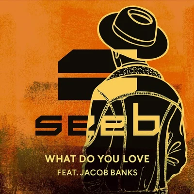 Seeb What Do You Love