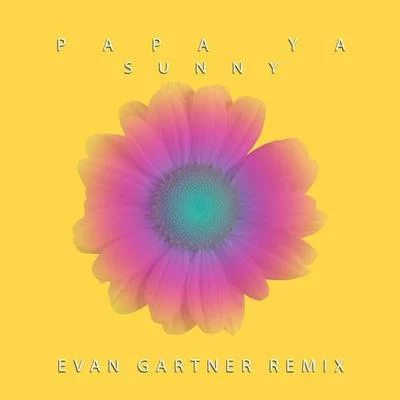 Evan Gartner Sunny (Evan Gartner Remix)