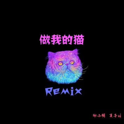 夏子皓 做我的貓（Remix）