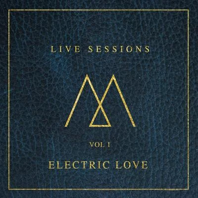 Madilyn Bailey Electric Love (Live Acoustic Version)