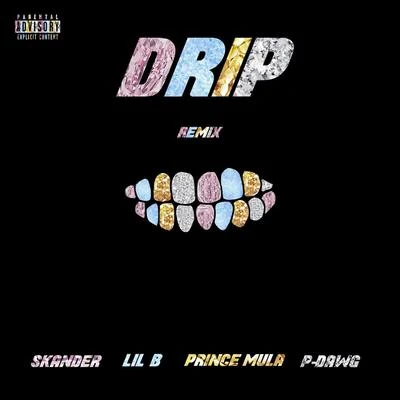 Lil B/Skander/Prince Mula/P-Dawg Drip (Remix)