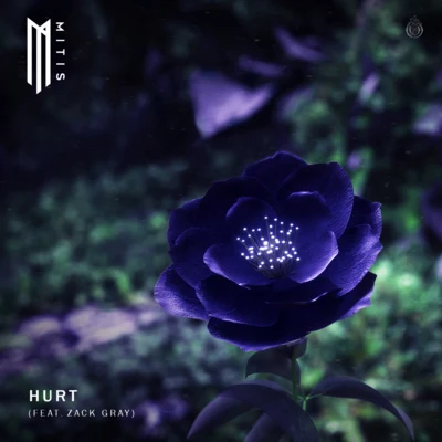 Zack Gray/MitiS Hurt (feat. Zack Gray)