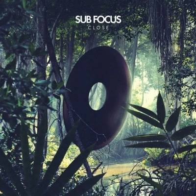 Sub Focus Close