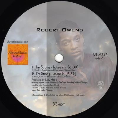 Robert Owens/Larry Heard Im Strong