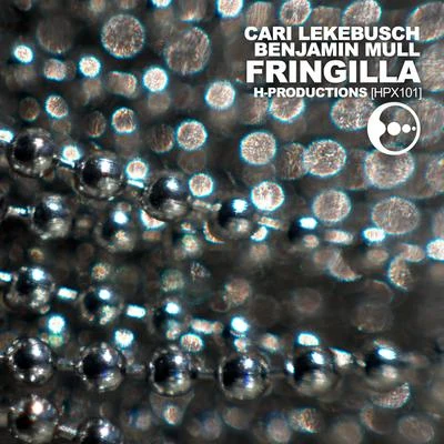 Benjamin Mull/Cari Lekebusch Fringilla