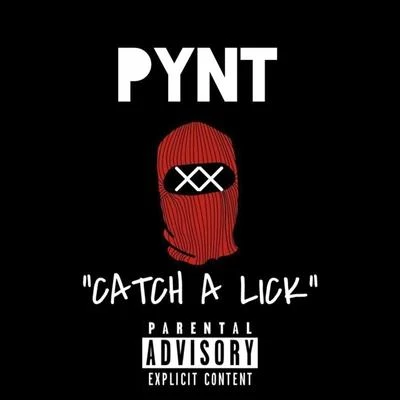 Pynt Catch a Lick