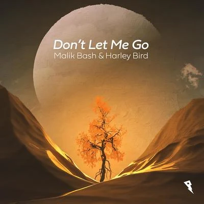 Harley Bird/Malik Bash Don't Let Me Go