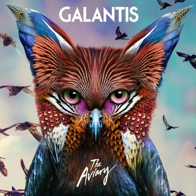 ROZES/Throttle/Galantis/Quintino &amp; Blasterjaxx The Aviary