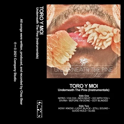 Toro y Moi Underneath the Pine (Instrumentals)