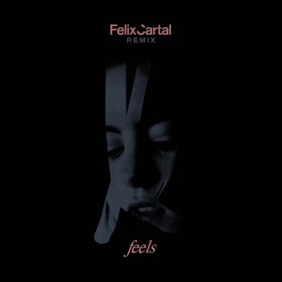 Felix Cartal Feels (Felix Cartal Remix)