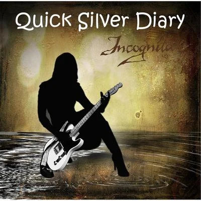 Incognita Quick Silver Diary