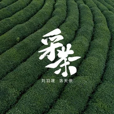 劉羽晟/洛天依 (Luo Tianyi) 採茶