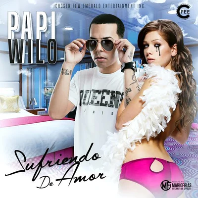 Papi Wilo Sufriendo de Amor - Single