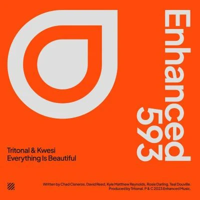 Kwesi/Tritonal Everything Is Beautiful