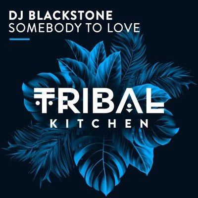 DJ Blackstone Somebody to Love (Radio Edits)