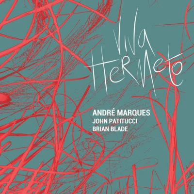 Brian Blade/John Patitucci/Andre Marques Viva Hermeto