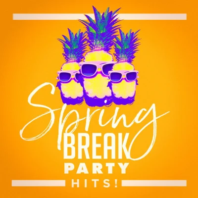 Ibiza Dance Party/Todays Hits/Ultimate Party Jams Spring Break Party Hits!