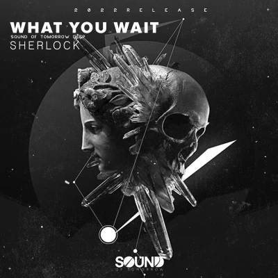 Sound of Tomorrow/Sherlock WHAT YOU WAIT