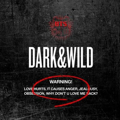 BTS DARK&WILD