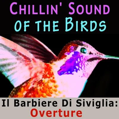 Tbilisi Symphony Orchestra Chillin Sound of Birds