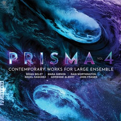 Stanislav Vavřínek/Pavel Šnajdr/Janacek Philharmonic Orchestra/Michalis Economou/Moravian Philharmonic Orchestra/West Point Band Prisma, Vol. 4