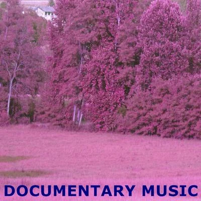 Robert Williams Documentary Music